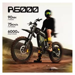 coswheel r6000 adult electric mountain bike