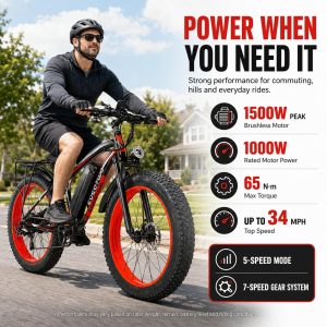 eoeotwo 26" fat tire electric bike
